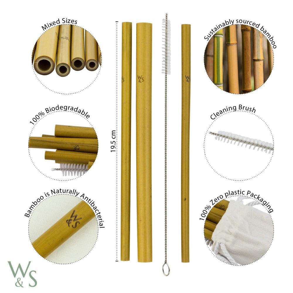 Reusable Bamboo Drinking Straws 10 Pack
