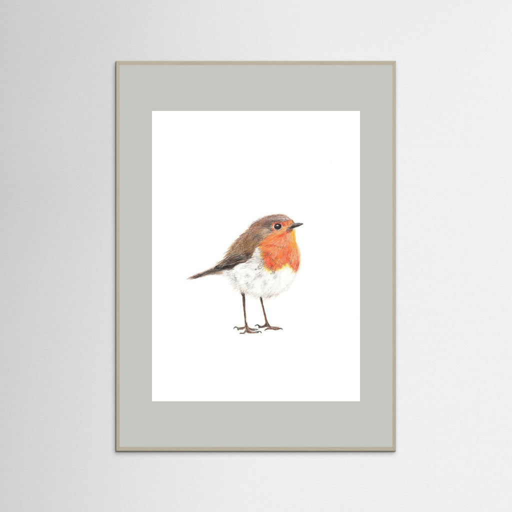 Robin Art Print Wildlife Wall Art for Nature Lovers