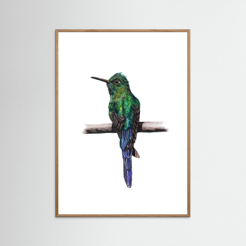 Hummingbird Art Print Wildlife Wall Art for Nature Lovers