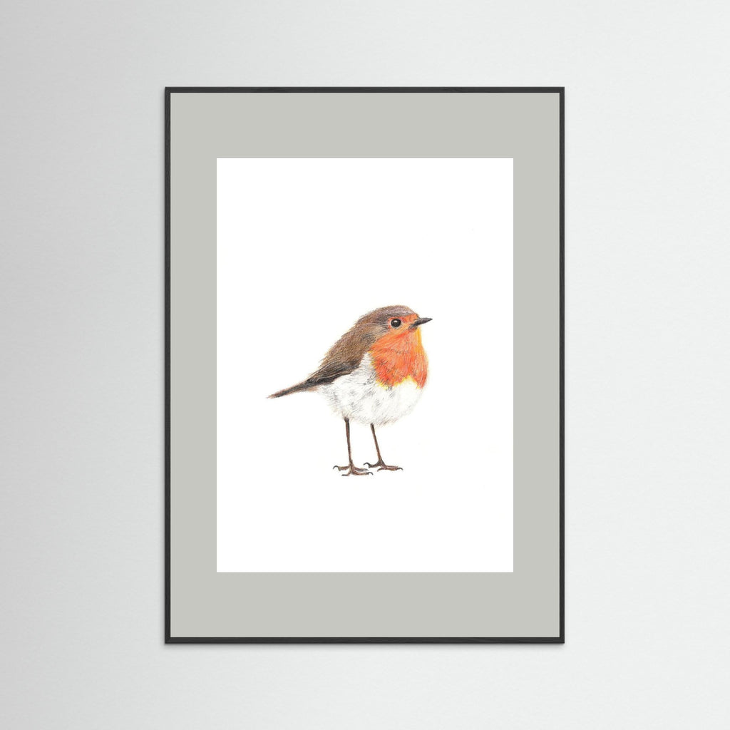 Robin Art Print Wildlife Wall Art for Nature Lovers