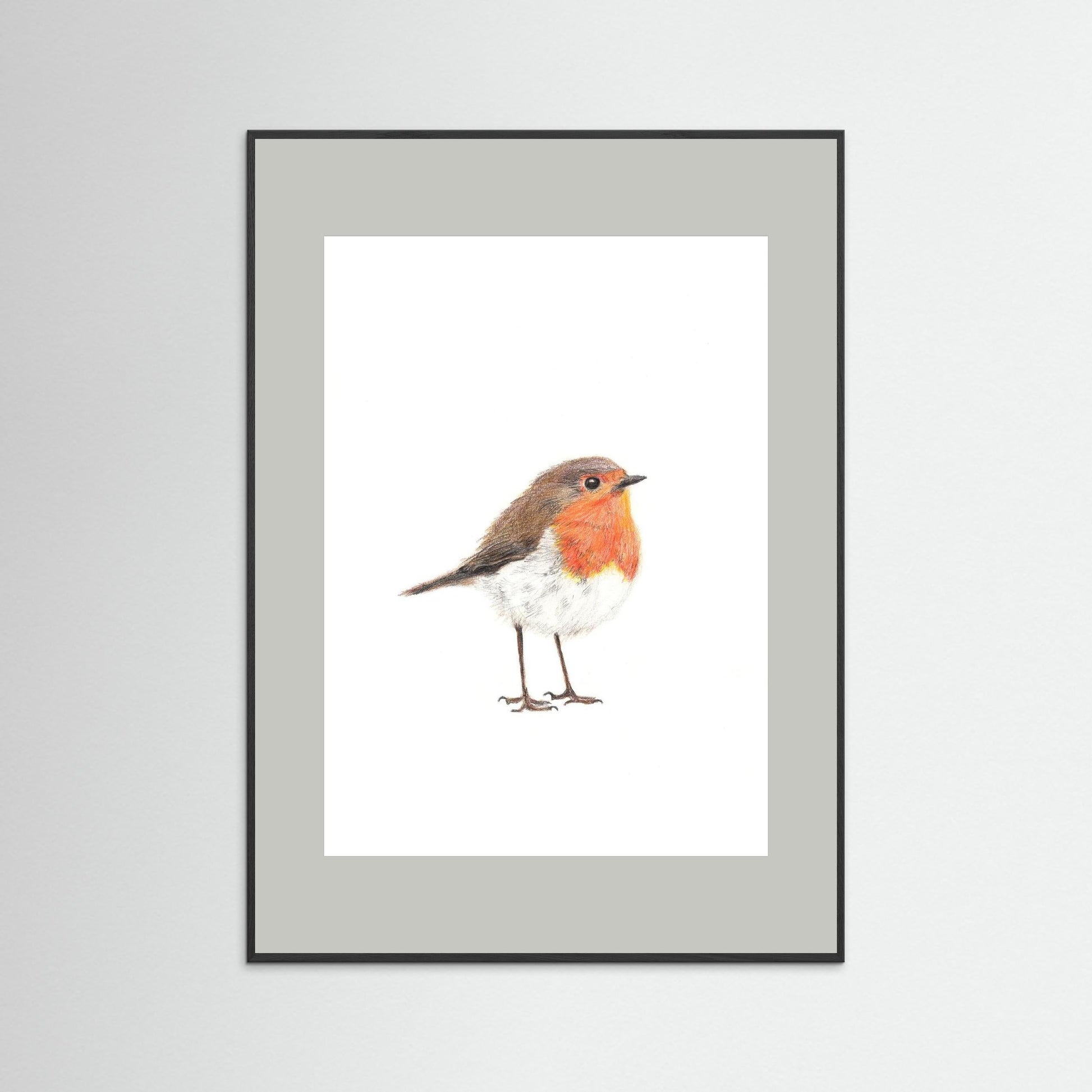 Robin Art Print Wildlife Wall Art for Nature Lovers
