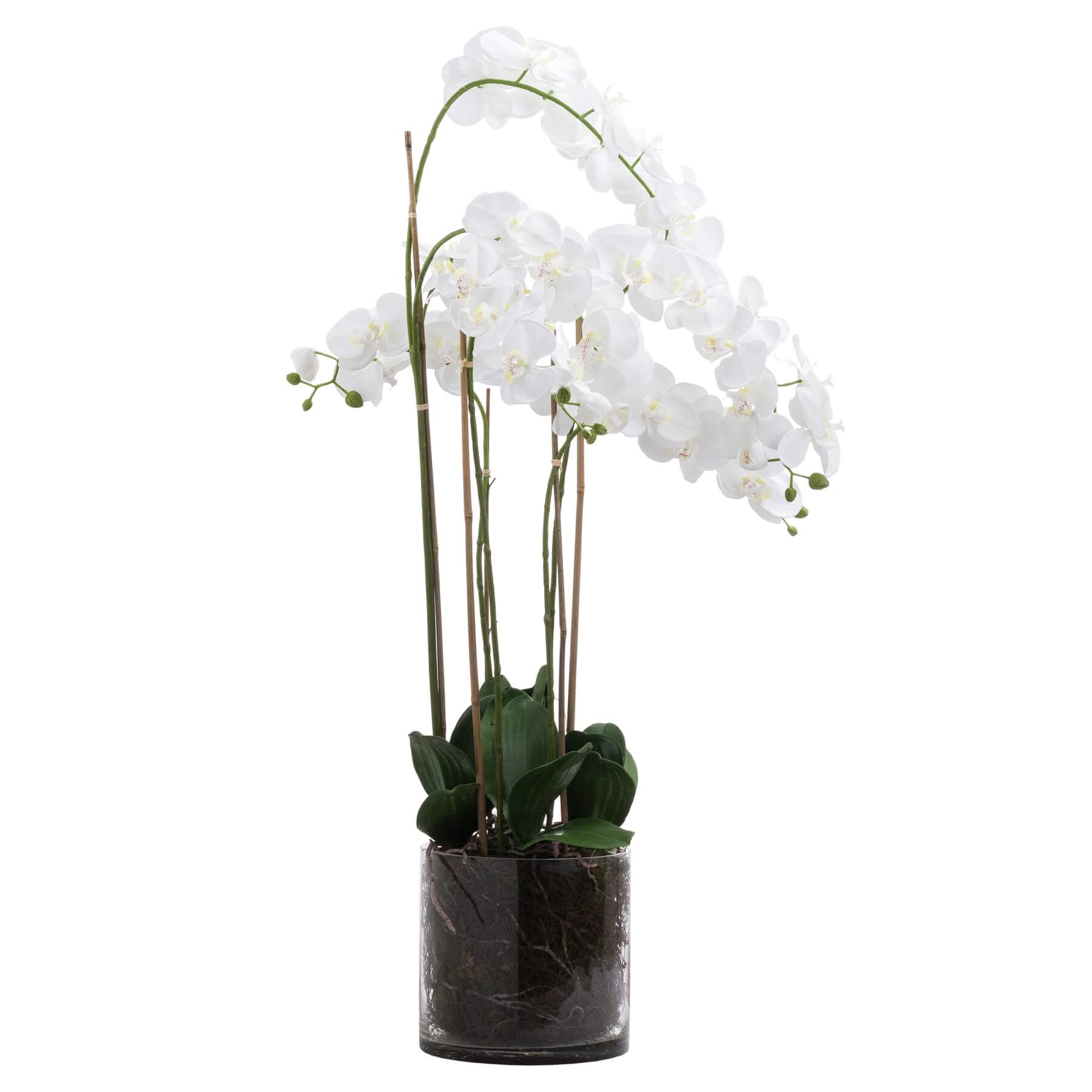 White and violet artificial orchid arrangement in glass pot, hyper-realistic plastic flowers with flexible leaves for home decor. by Sostter at brixbailey.com