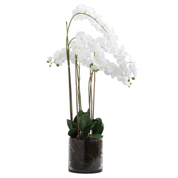 White and violet artificial orchid arrangement in glass pot, hyper-realistic plastic flowers with flexible leaves for home decor. by Sostter at brixbailey.com