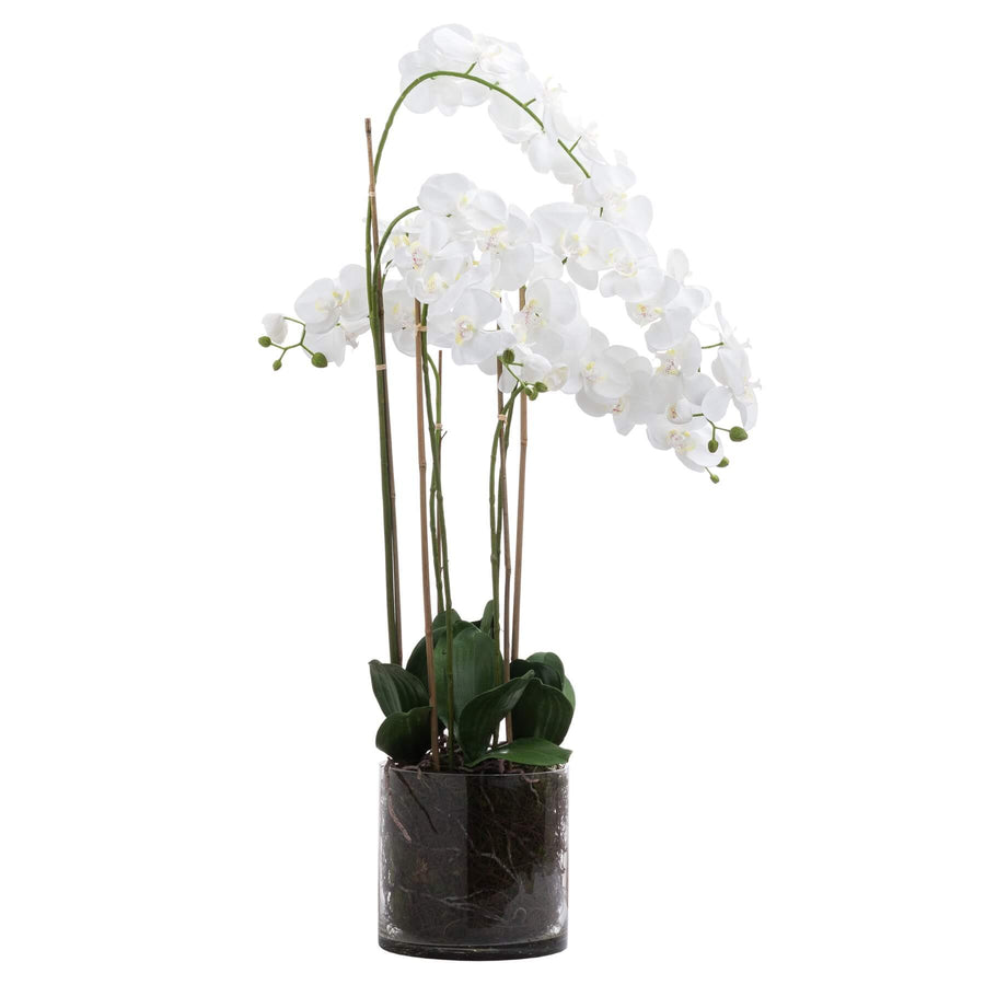 White and violet artificial orchid arrangement in glass pot, hyper-realistic plastic flowers with flexible leaves for home decor. by Sostter at brixbailey.com