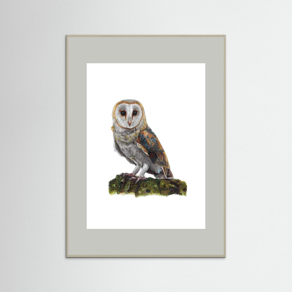 Barn Owl Art Print Wildlife Wall Art for Nature Lovers
