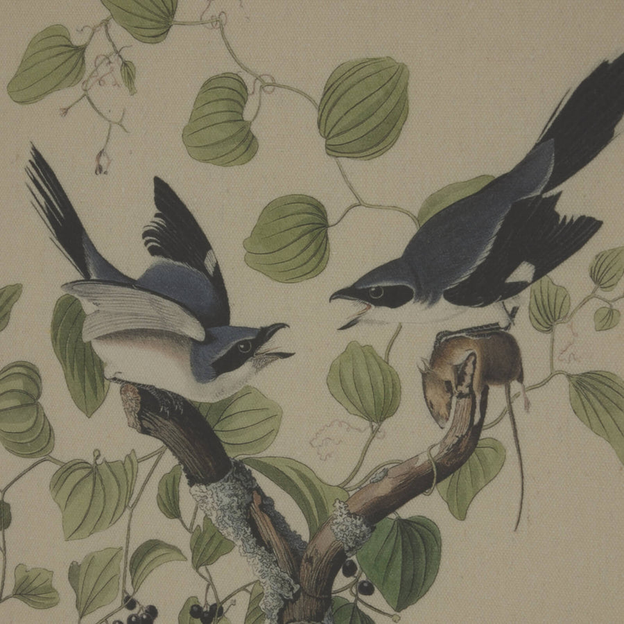 Shrikes wall art with beaded frame, linen background, brown tones, from Flora & Fauna Collection, 50x40 cmby Sostter at brixbailey.com