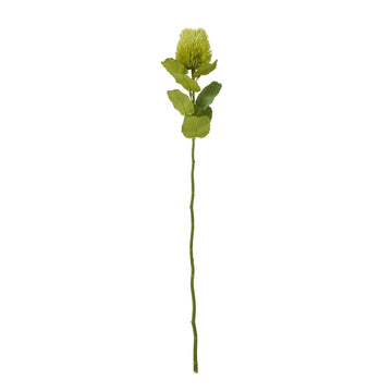 Lifelike green Banksia stem, artificial botanical decor, 59cm tall, hyper-realistic Australian flora for farmhouse or boho interiors by Sostter at brixbailey.com
