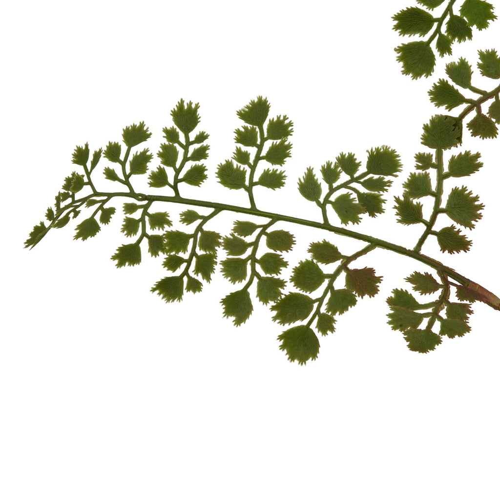 Lifelike maidenhair fern stem, natural green faux botanical decor, 64cm realistic plastic foliage for home styling by Sostter at brixbailey.com