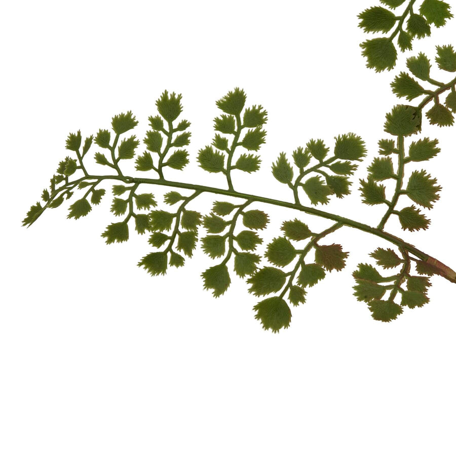 Lifelike maidenhair fern stem, natural green faux botanical decor, 64cm realistic plastic foliage for home styling by Sostter at brixbailey.com
