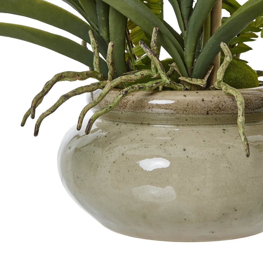White faux Vanda orchid in ceramic pot with lifelike blooms and green foliage, elegant home decor by Sostter at brixbailey.com