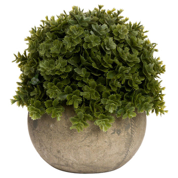 Lifelike artificial Hebe Veronica plant in stone-effect pot, perfect for desks or shelves, no maintenance needed. by Sostter at brixbailey.com