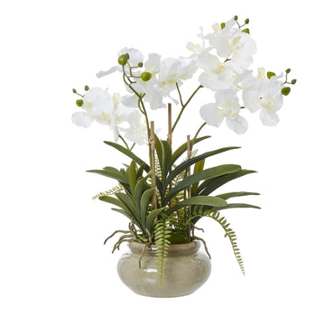 Lifelike white Vanda orchid in ceramic pot, faux floral arrangement with green foliage for elegant home decor by Sostter at brixbailey.com