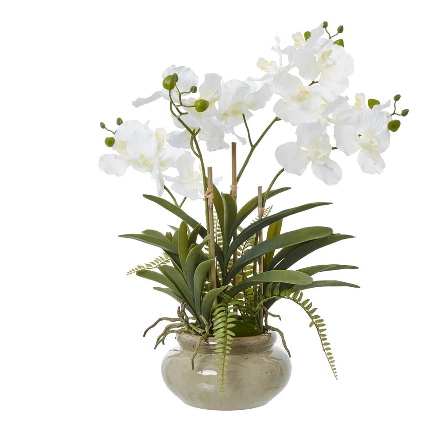 Lifelike white Vanda orchid in ceramic pot, faux floral arrangement with green foliage for elegant home decor by Sostter at brixbailey.com
