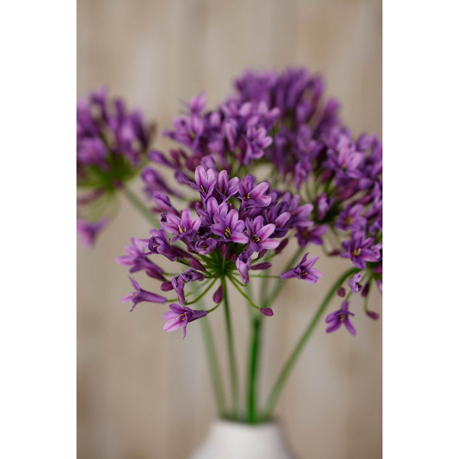 Lilac agapanthus faux flower spray with lifelike petals and green stem, perfect for home decor by Sostter at brixbailey.com