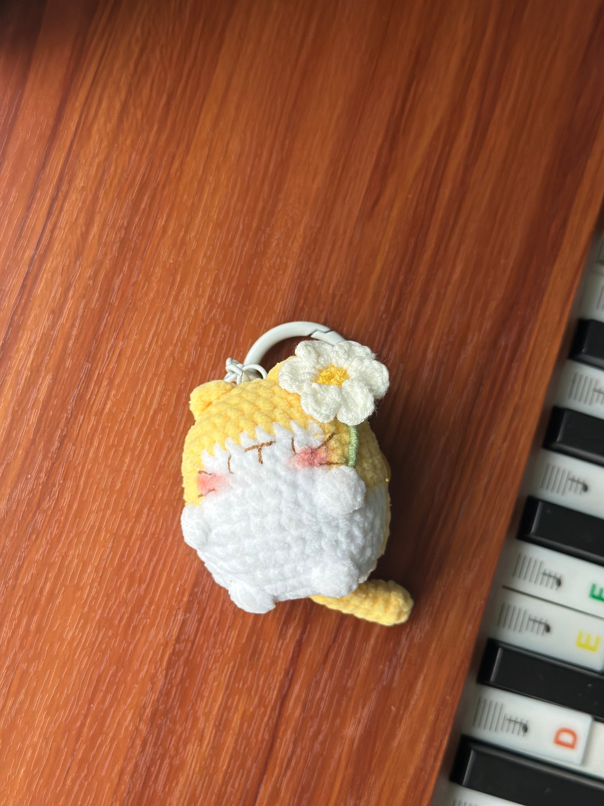 Little Square Cute Kitten Collection