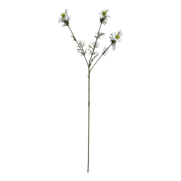 Delicate white Nigella floral stem with intricate seed pods and feathery foliage for elegant arrangements. by Sostter at brixbailey.com