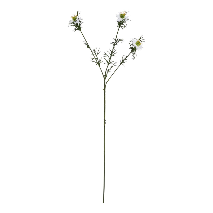 Delicate white Nigella floral stem with intricate seed pods and feathery foliage for elegant arrangements. by Sostter at brixbailey.com