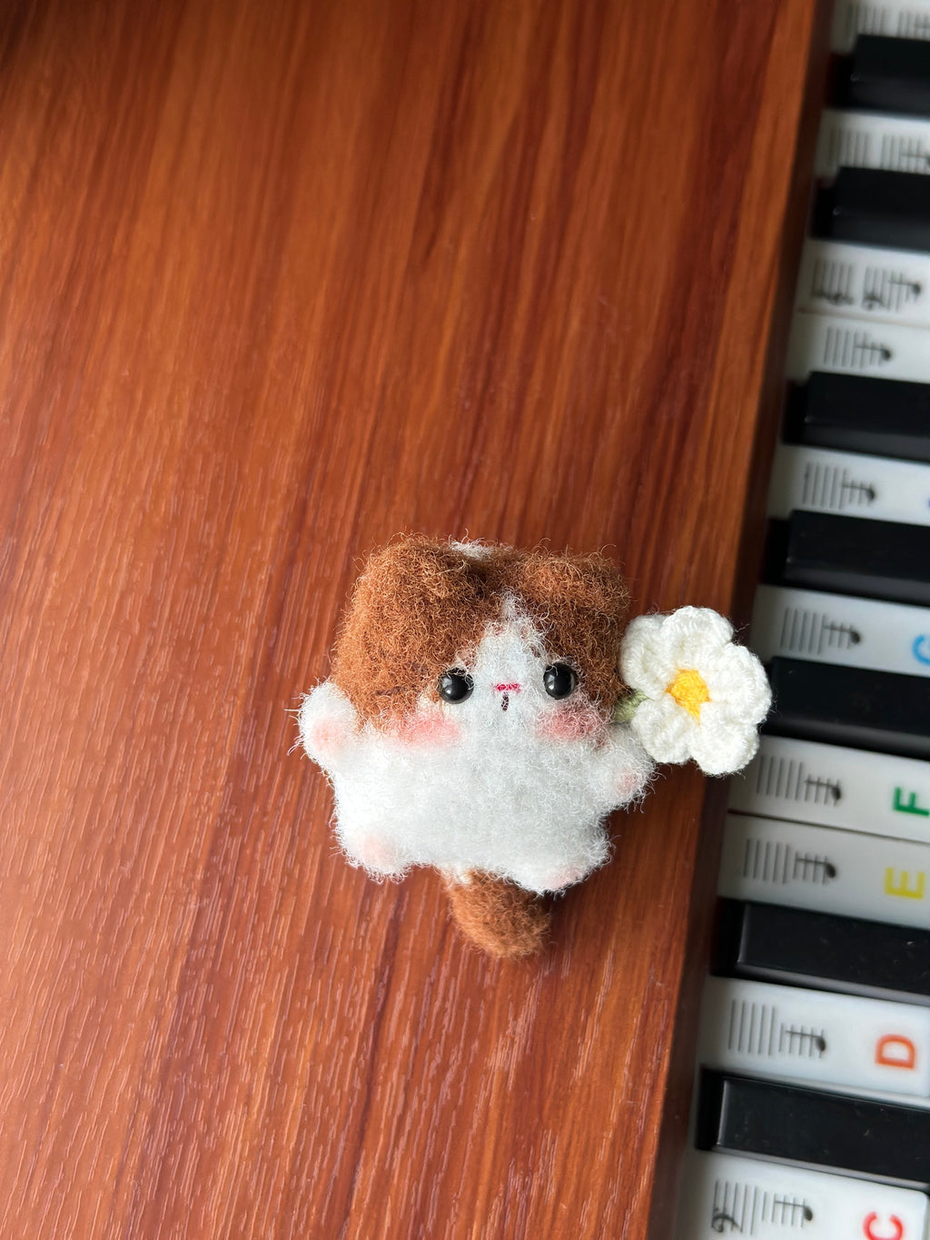 Little Square Cute Kitten Collection