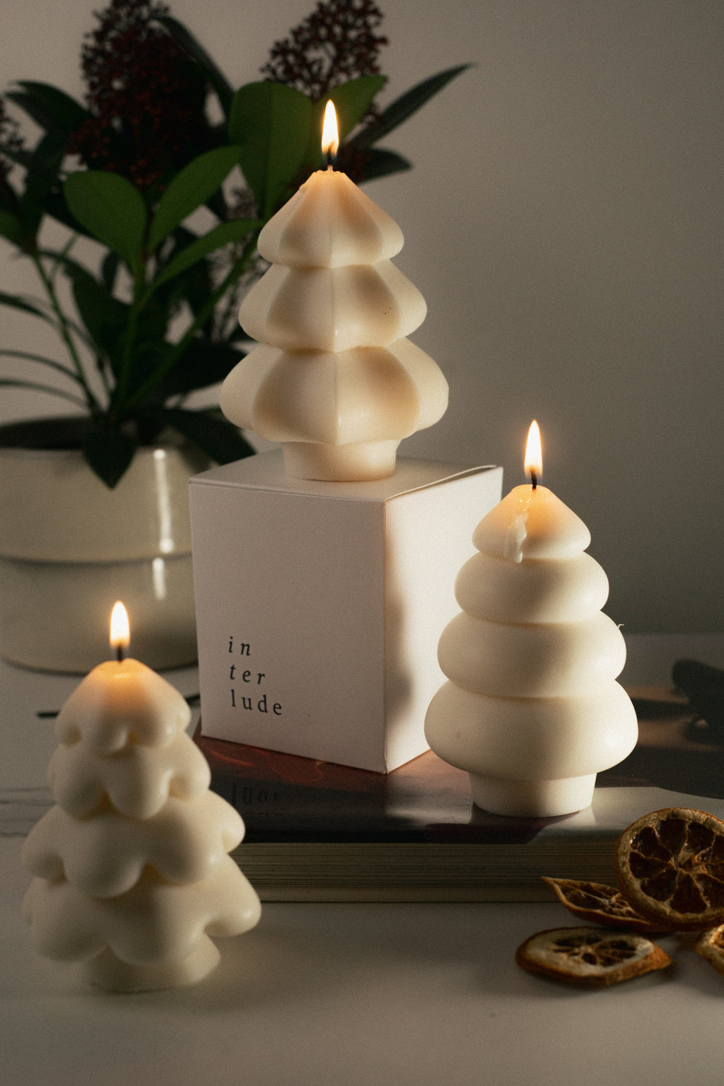 Christmas Tree Candles