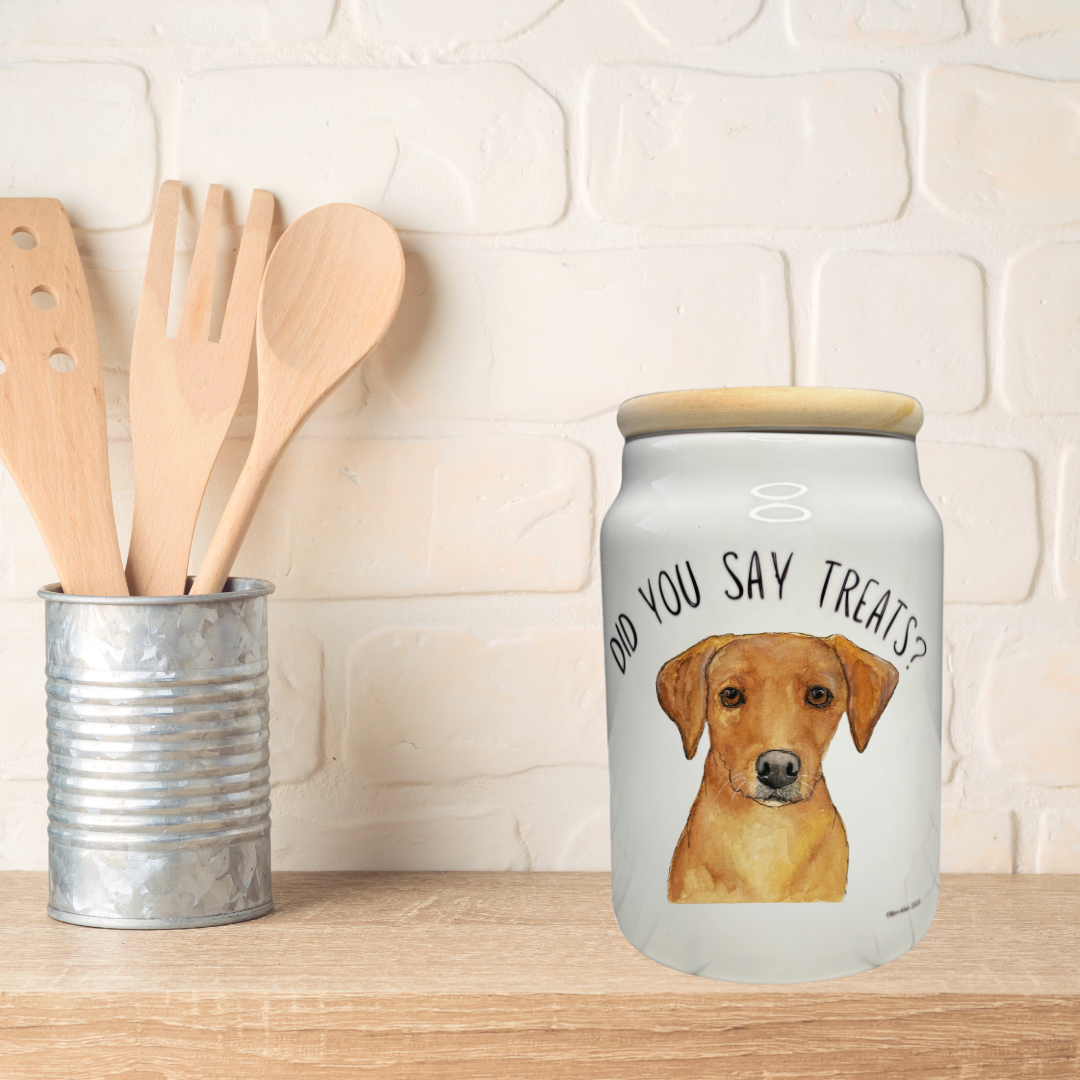 “In Case of Emergency, Break for Biscuits” Ceramic Treat Jar – Starring the Om Nom Nomnivore