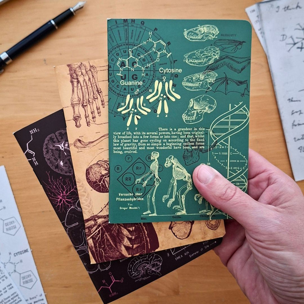 The Living Code Notebook Set Anatomy Neuroscience Evolution Genetics