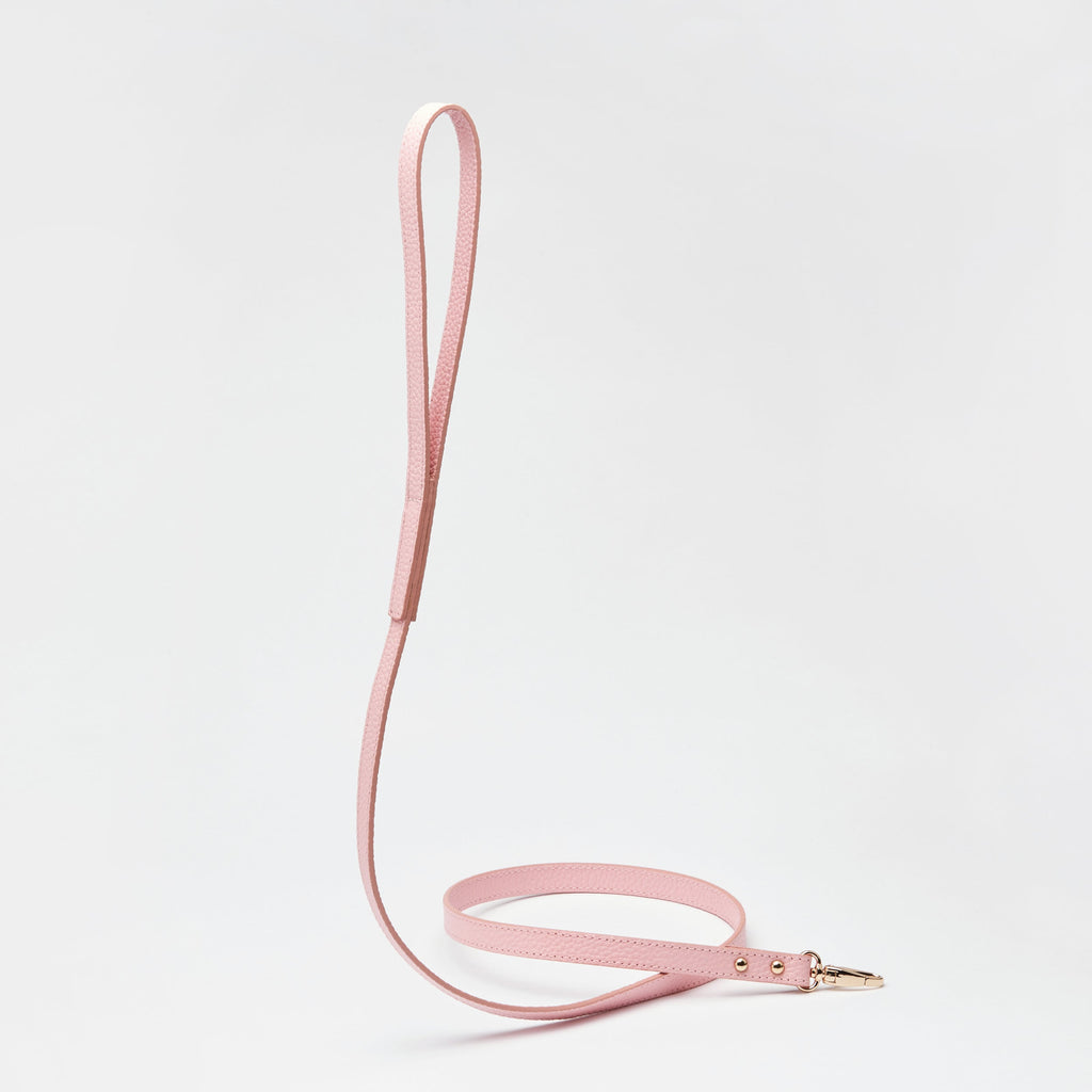 Leather Lead in Six Colours