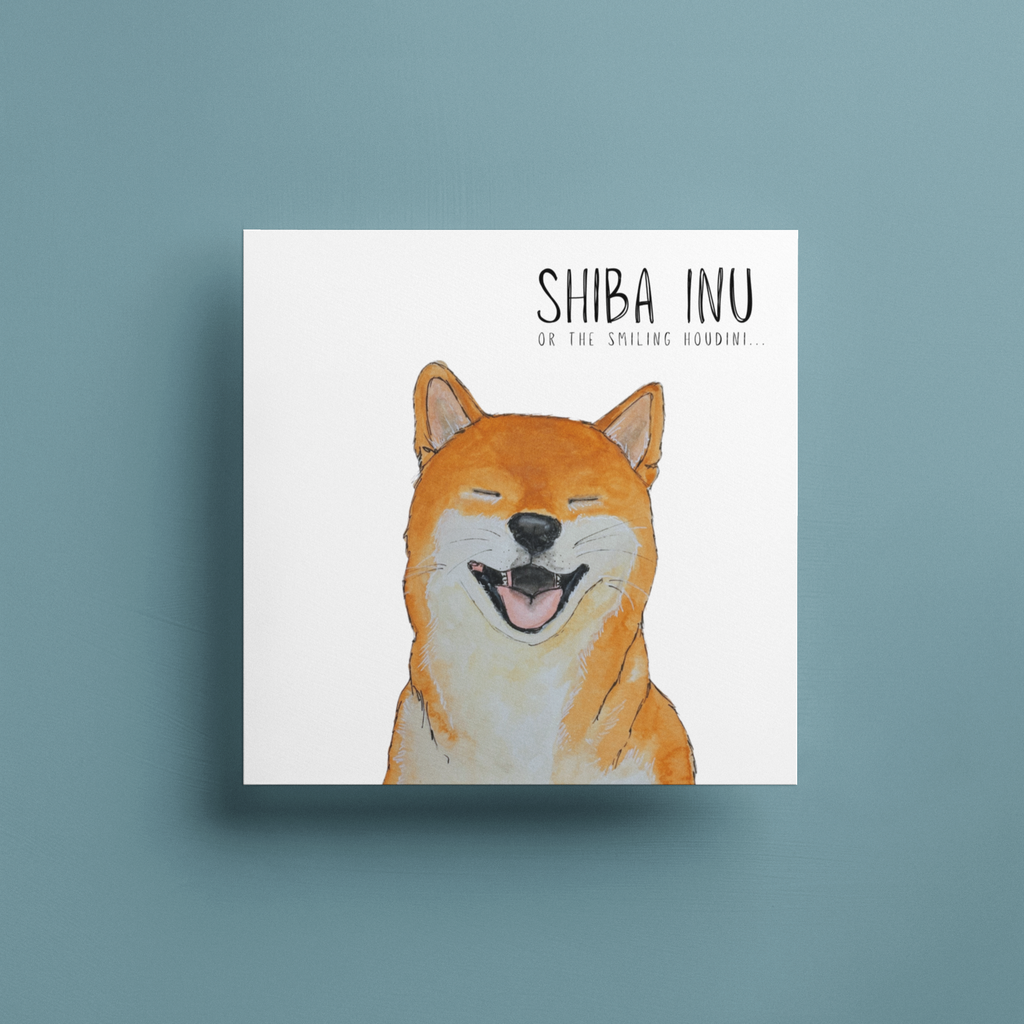 Escape Plans & Birthday Barks” – Shiba Inu Greeting Card