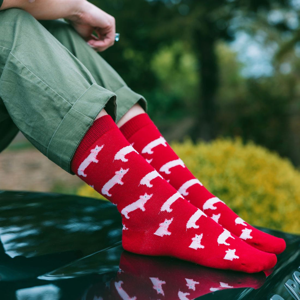 Sustainable Bamboo Socks Made to Last