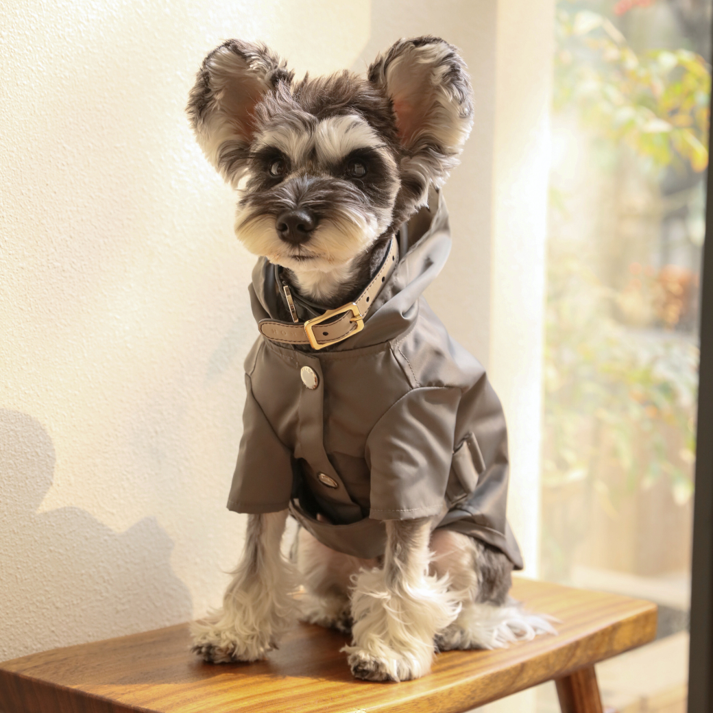 Bowery Raincoat in Gray