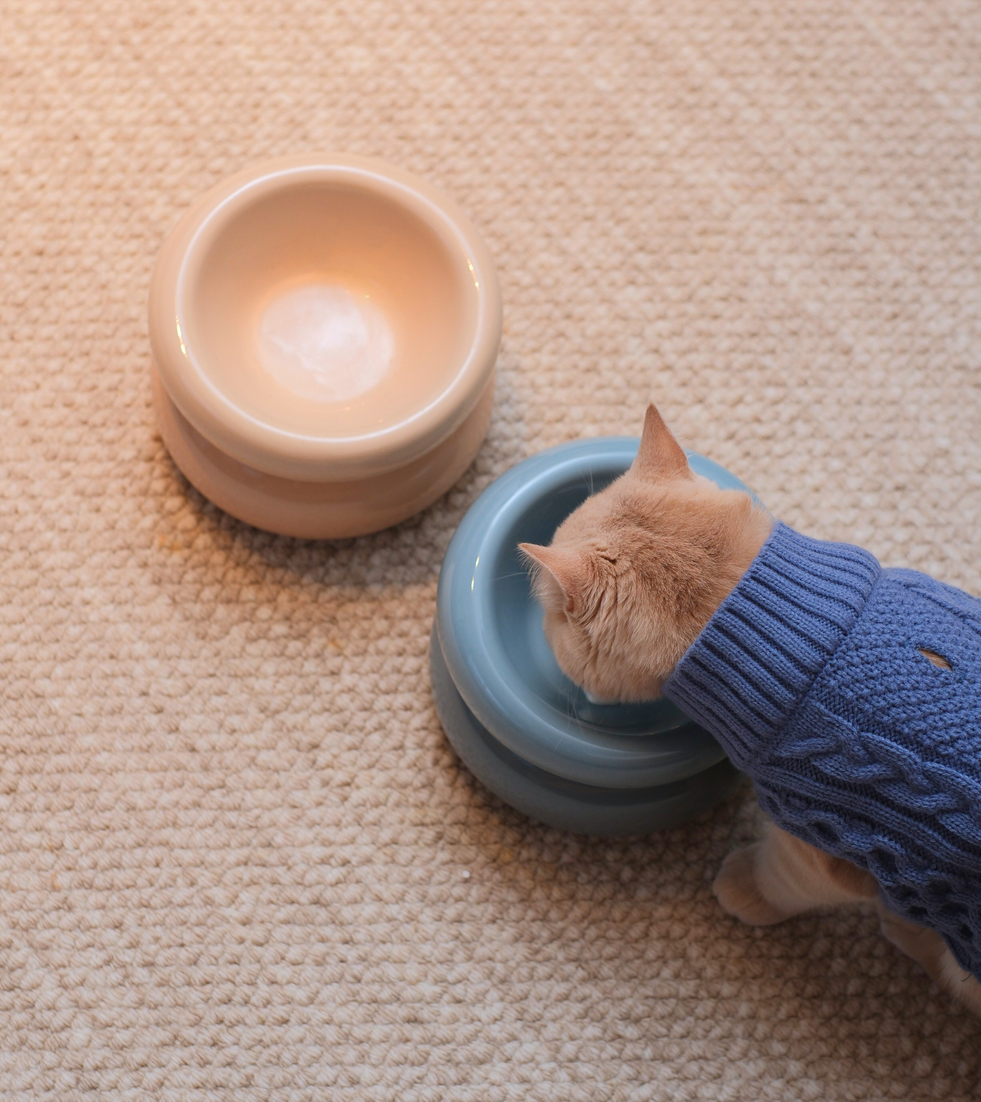 Soufflé Pet Bowl Cream Beige