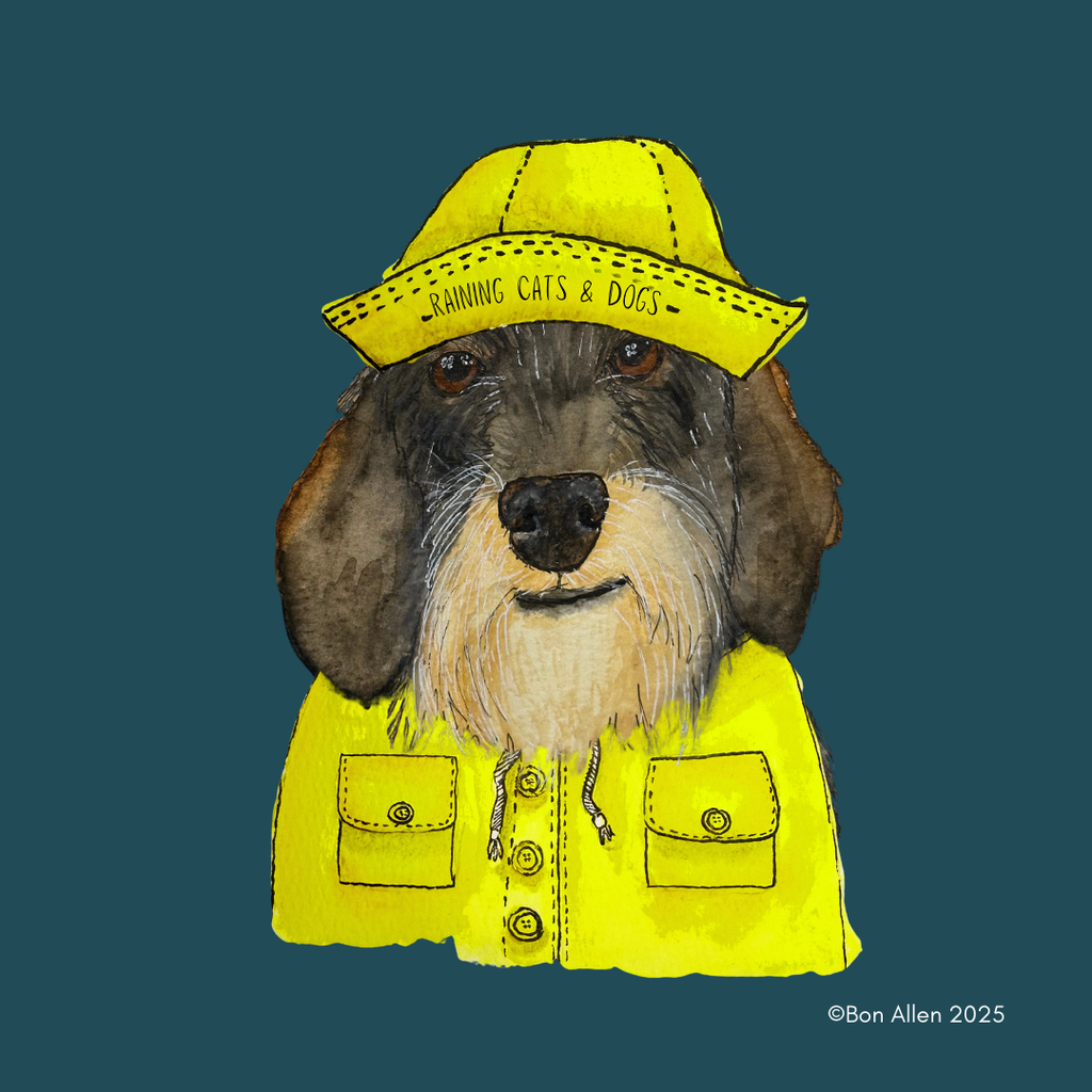 Dachshund Downpour Defender – Stay Dry in Style