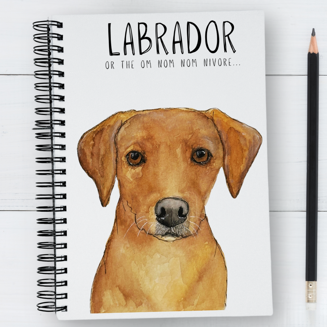 “Paws, Reflect, Repeat” — The Om Nom Nomnivore Notebook