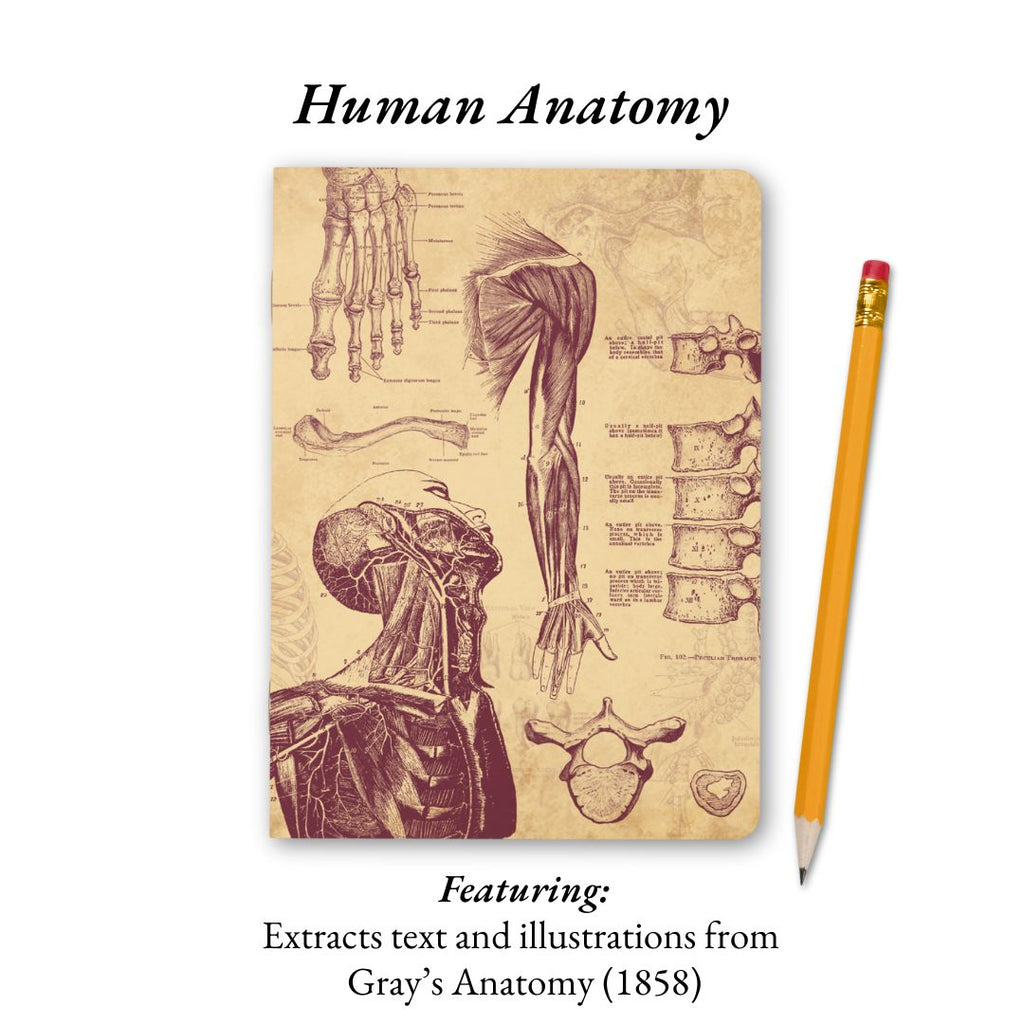 The Living Code Notebook Set Anatomy Neuroscience Evolution Genetics