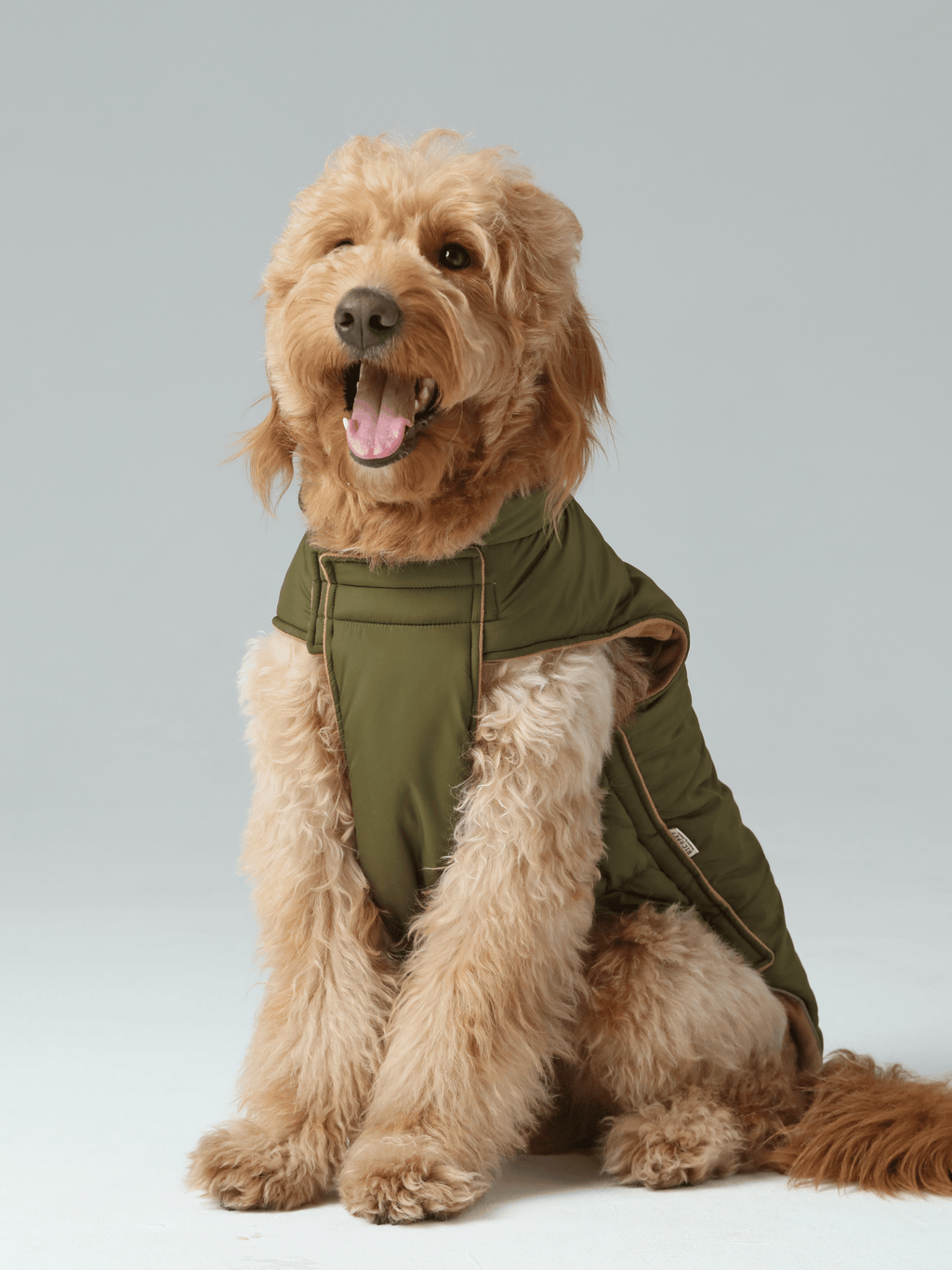 Reversible Dog Vest Jacket in Green and Brown