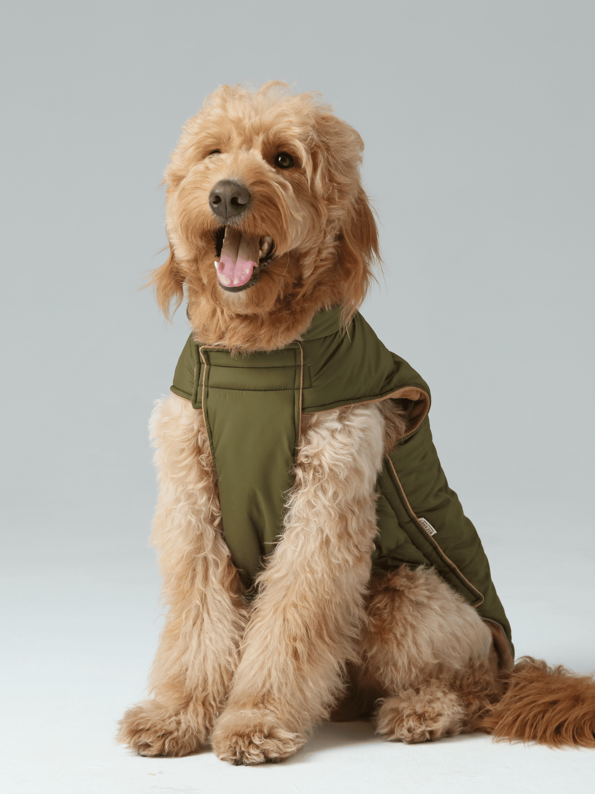Reversible Dog Vest Jacket in Green and Brown