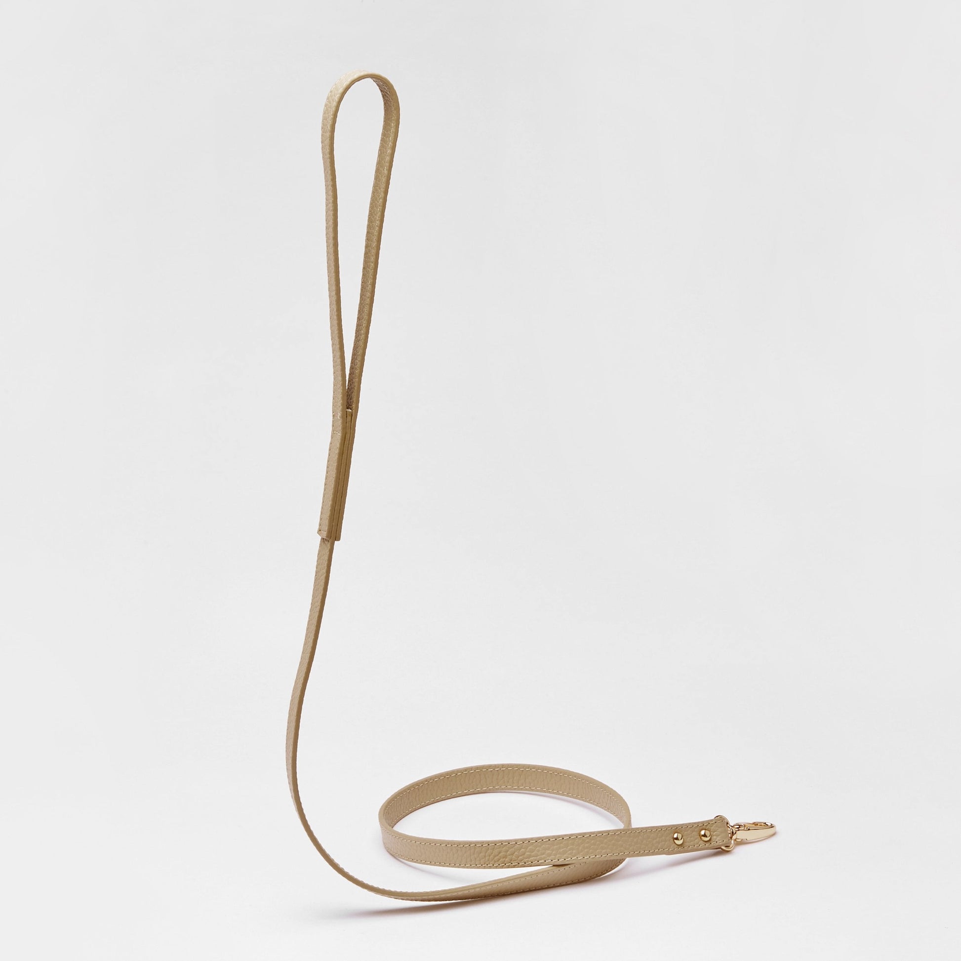 Leather Harness Set with Lead and Pocket