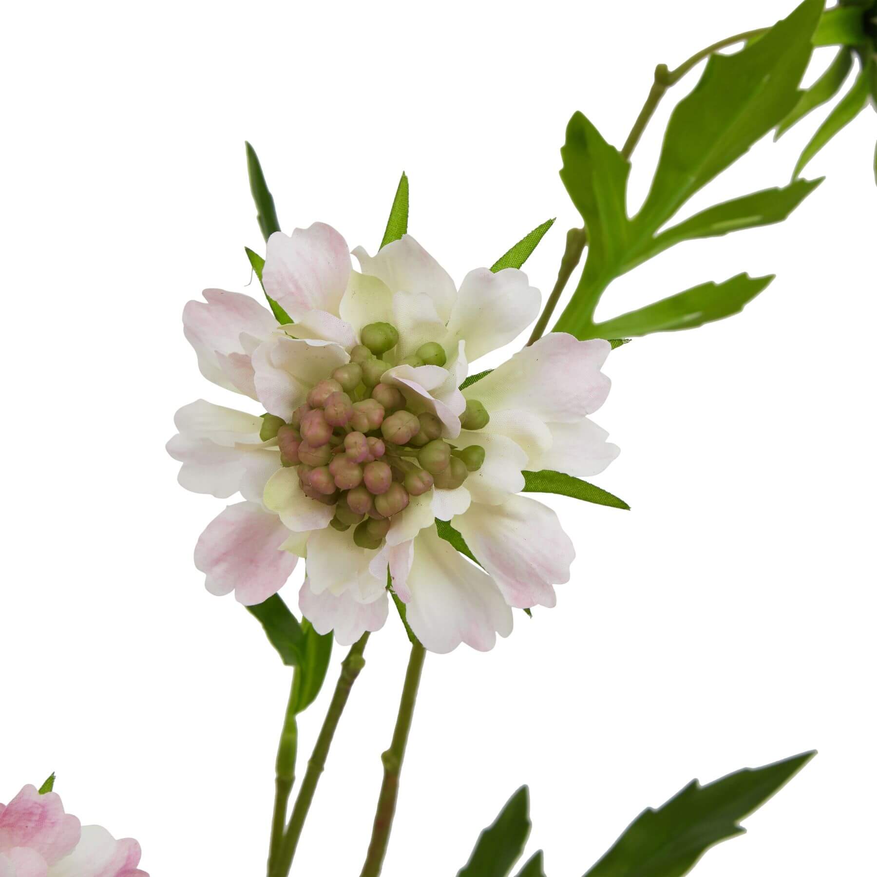 Pink scabious artificial floral stem with green leaves, realistic plastic petals, home decor accent (65cm height) by Sostter at brixbailey.com