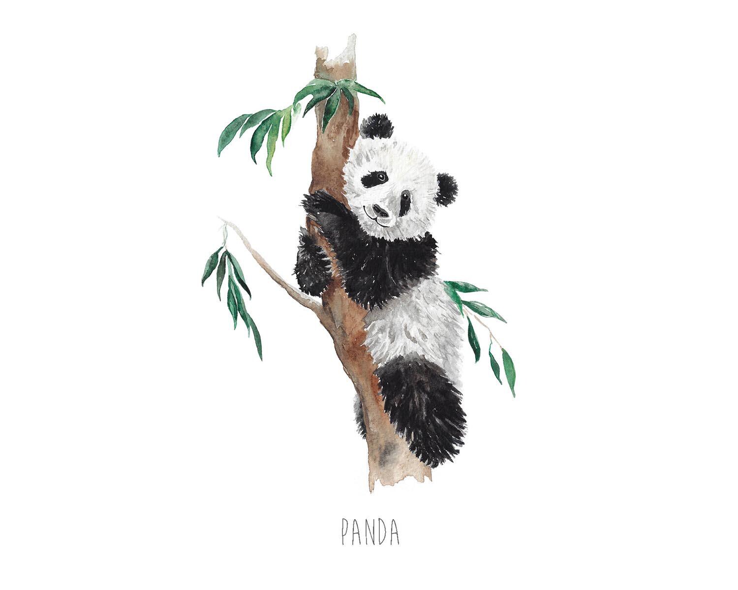 Panda Bear - Personalised watercolour print