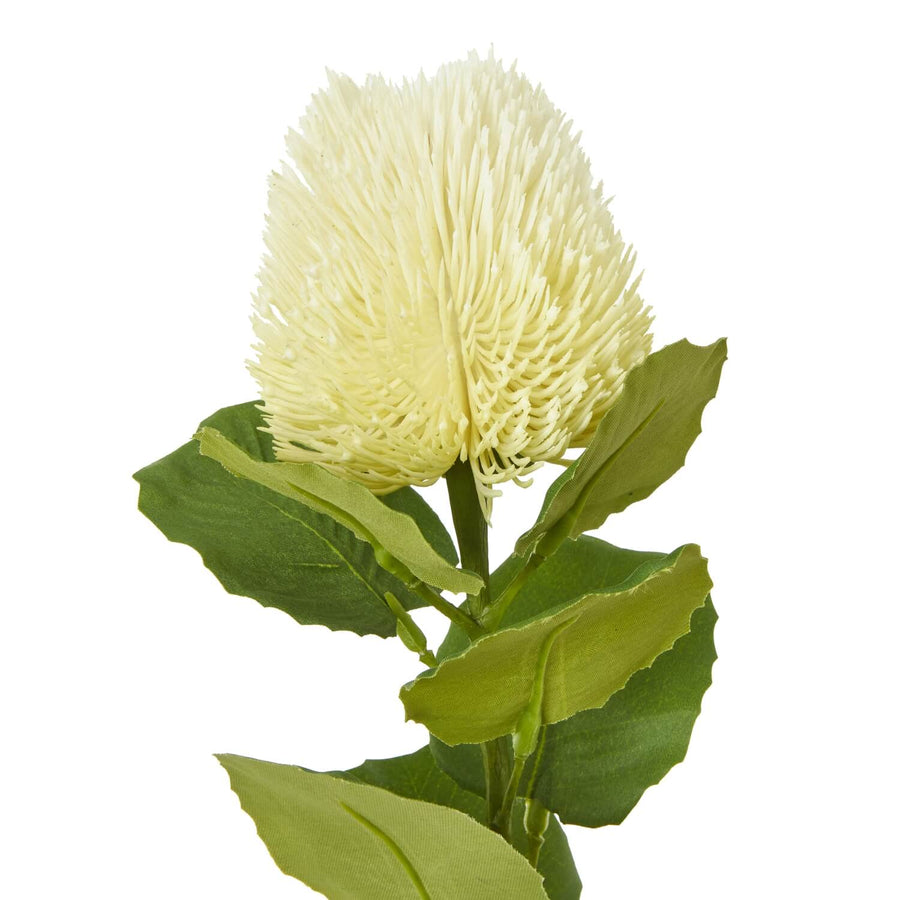 Cream Banksia artificial stem with green accents, hyper-realistic plastic foliage for home decor, 59 cm tall by Sostter at brixbailey.com