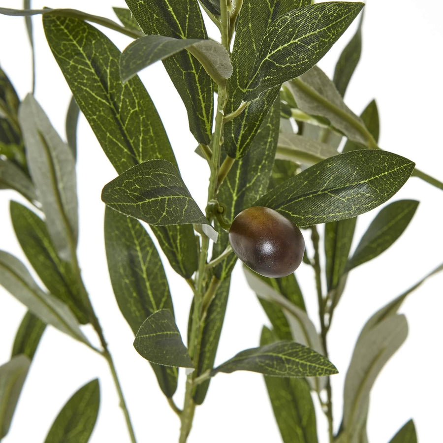 Apulia Olive Tree artificial plant, 180cm tall with silvery-green leaves and textured trunk in white pot by Sostter at brixbailey.com
