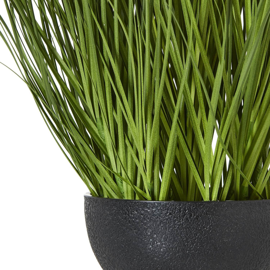 Lifelike white faux allium plant in black pot, 120cm tall with green stems, perfect for modern home decor. by Sostter at brixbailey.com