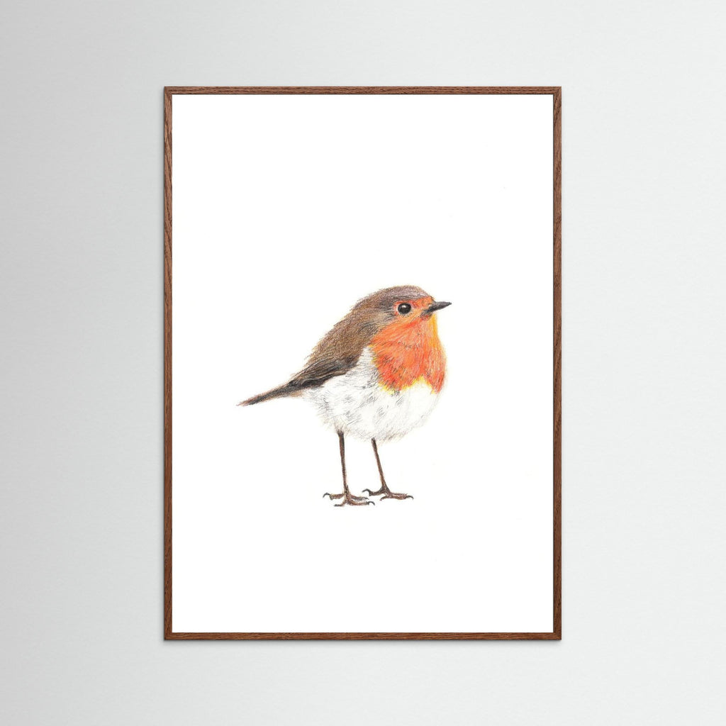 Robin Art Print Wildlife Wall Art for Nature Lovers