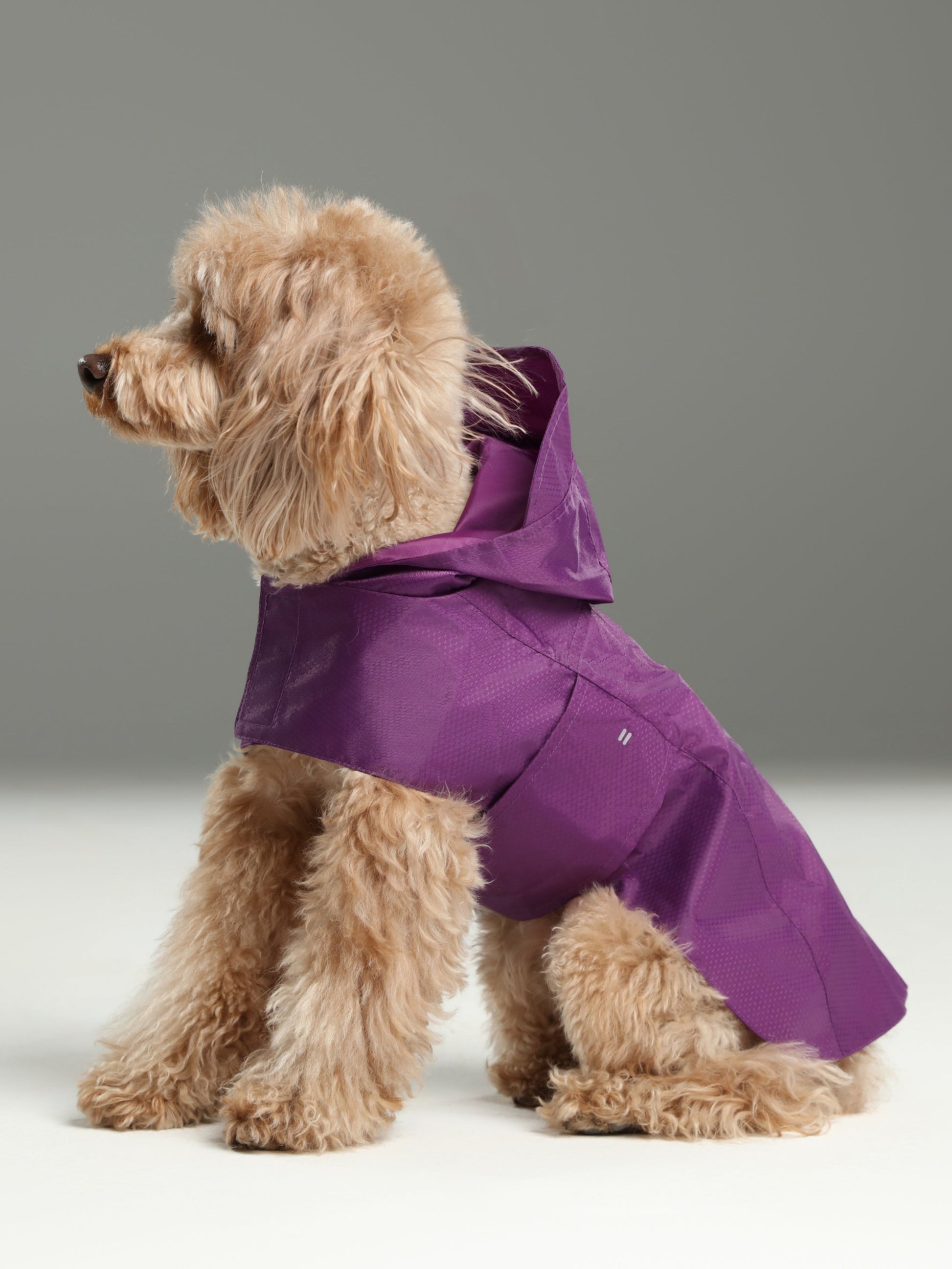 Purple Capsule Raincoat for Dogs and Cats