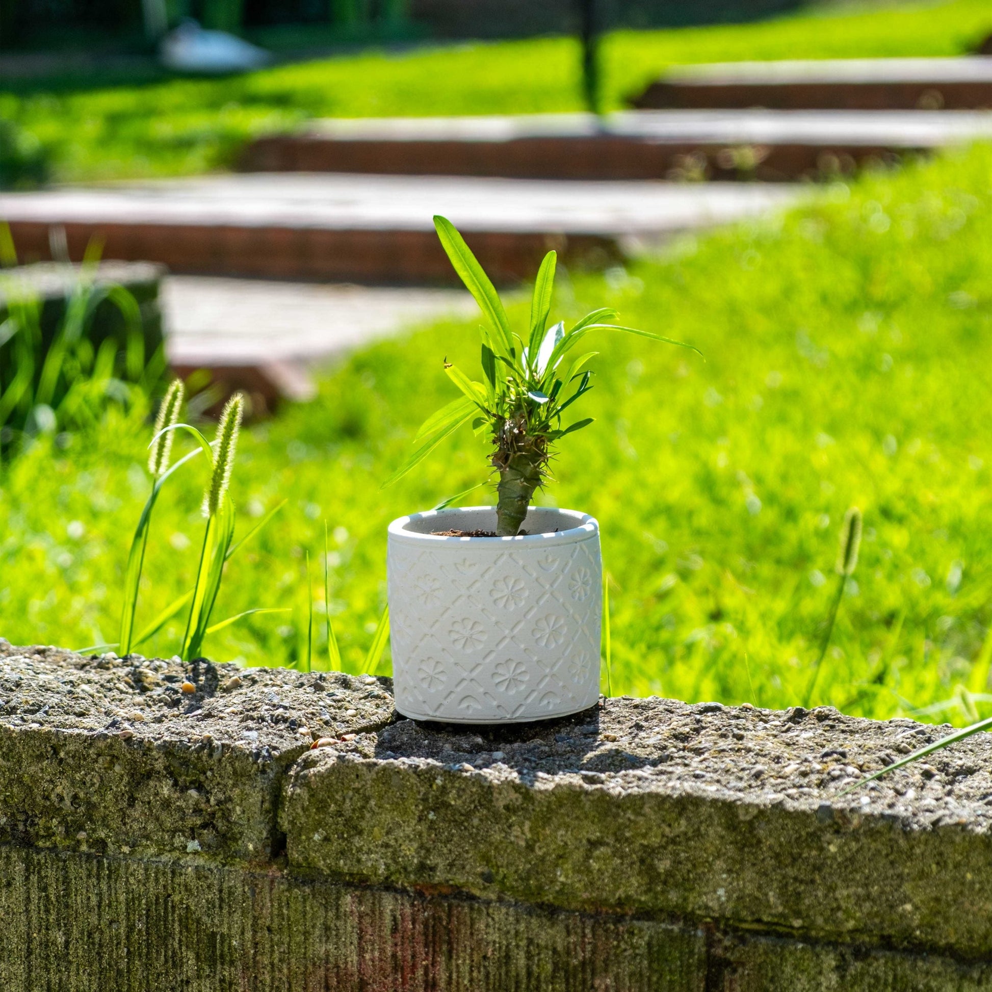 White Concrete Radius Pot