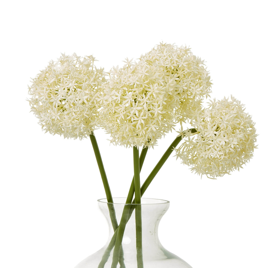 Lifelike cream allium stem, 80cm tall with slender green stem, perfect for farmhouse or minimalist decor by Sostter at brixbailey.com