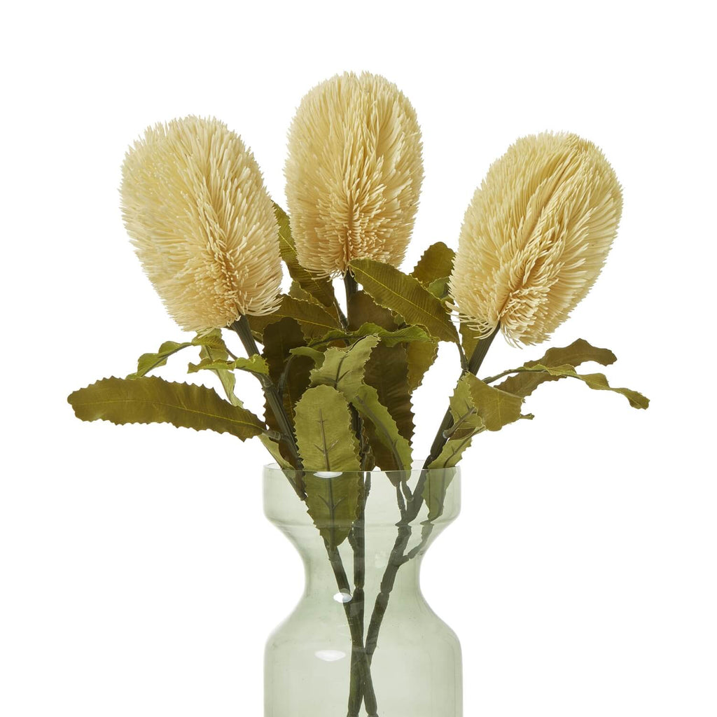 Banksia serrata faux stem with feathery cream blooms and green accents, 65cm lifelike artificial floral decor by Sostter at brixbailey.com