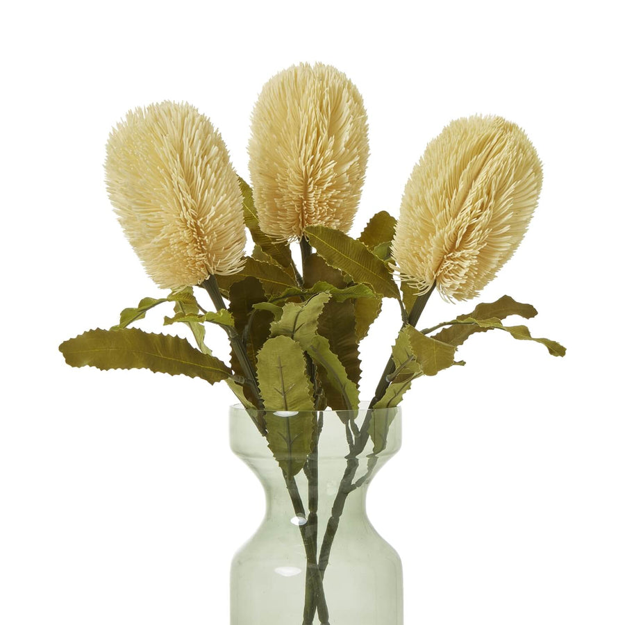 Banksia serrata faux stem with feathery cream blooms and green accents, 65cm lifelike artificial floral decor by Sostter at brixbailey.com