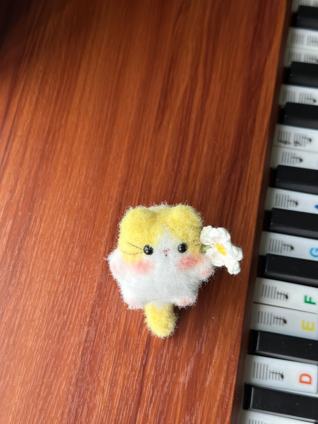 Little Square Cute Kitten Collection