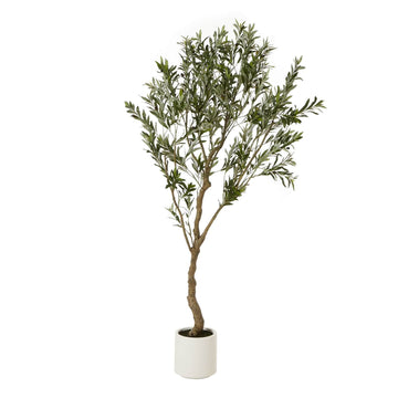 200cm lifelike Apulia artificial olive tree with silvery-green leaves in white pot, Mediterranean decor centerpiece by Sostter at brixbailey.com