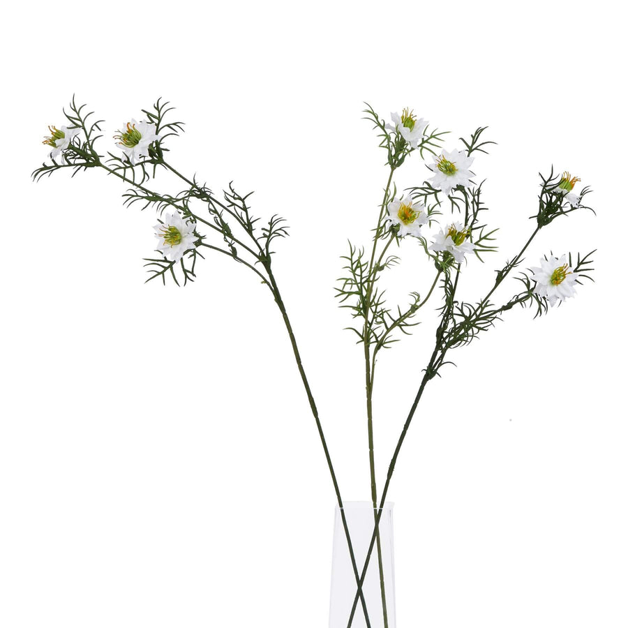 Delicate white Nigella floral stem with intricate seed pods and feathery foliage for elegant arrangements. by Sostter at brixbailey.com
